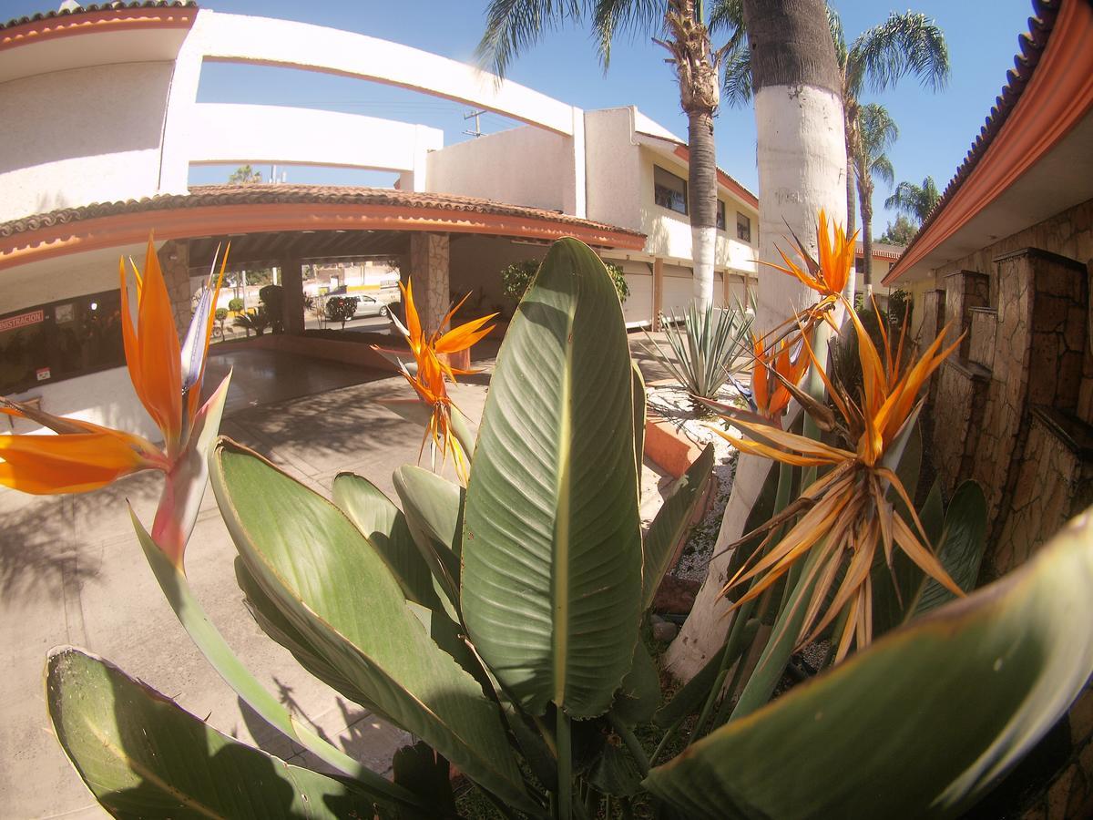 Auto Hotel Niza Tlaquepaque Exterior photo